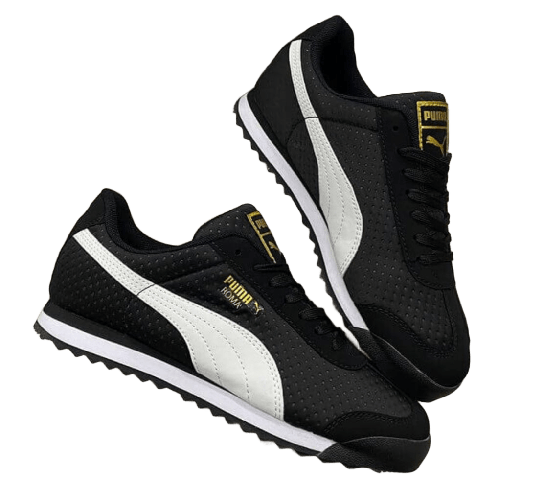 PM ZAPATO 