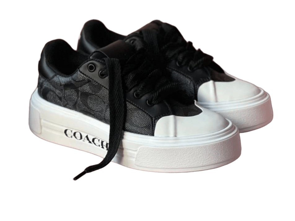 CH ZAPATO 