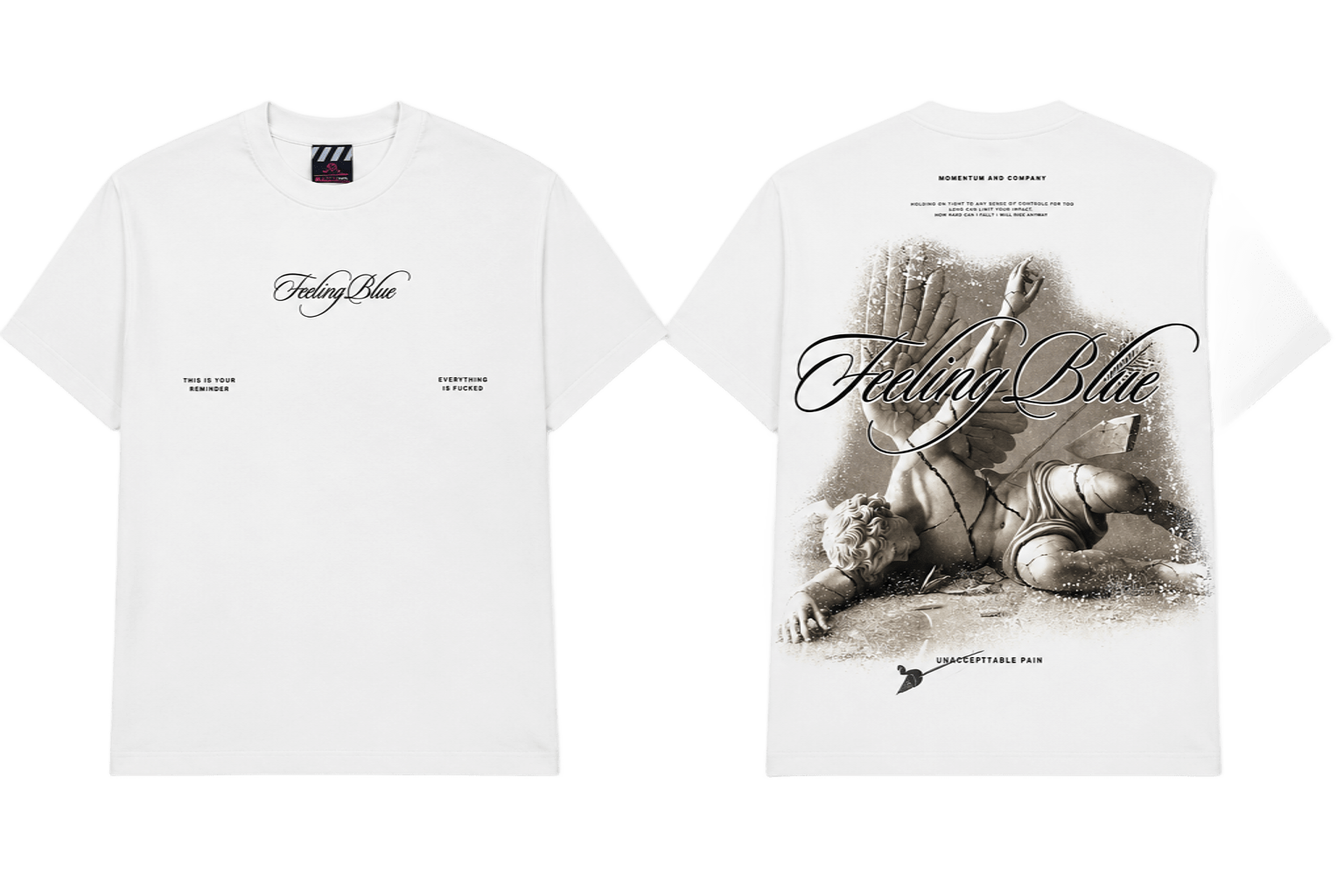 Camiseta momentum oversize 